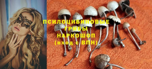 прущие крисы Абаза