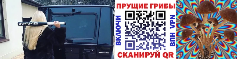 Галлюциногенные грибы MAGIC MUSHROOMS  Красково 